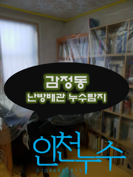  감정동 난방배관 누수탐지 및 분배기 교체 작업