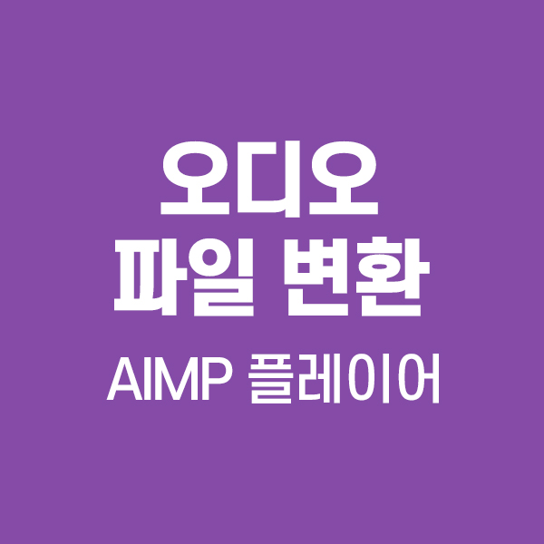  오디오 파일 변환 및 플레이어