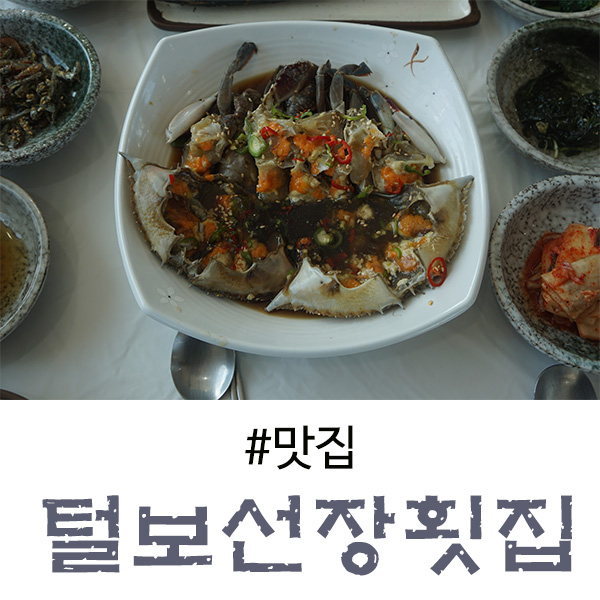  안면도 횟집 3번째 재방문!
