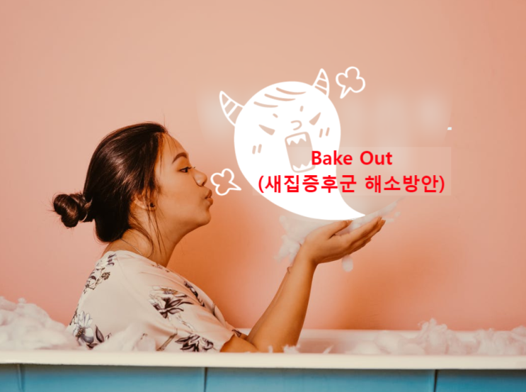 Bake Out (베이크아웃) 새집증후군제거방법 및 해소 Bake Out (베이크아웃) 새집증후군제거방법 및 해소