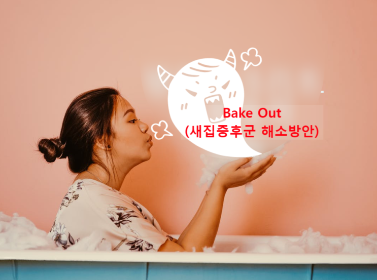 Bake Out (베이크아웃) 새집증후군제거방법 및 해소