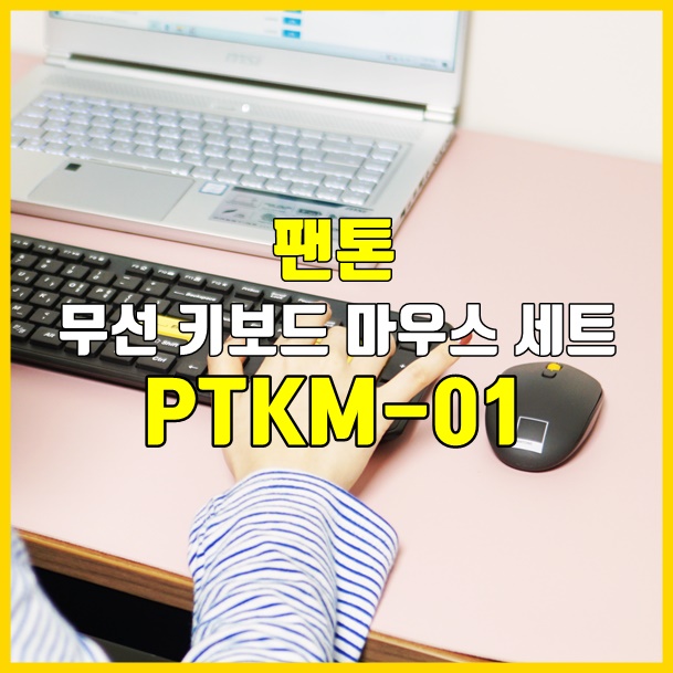  무소음마우스가 포함된 무선키보드마우스세트, 팬톤 PTKM-01