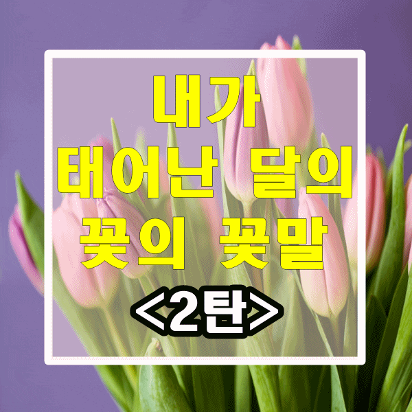  내가 태어난 달에 꽃은 무슨  꽃말을 가지고 있을까?<2탄>