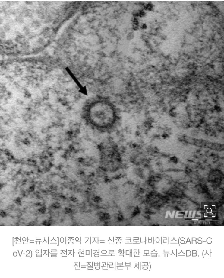 천안 코로나19 확진자 20명으로 늘어...28일 4명 추가
