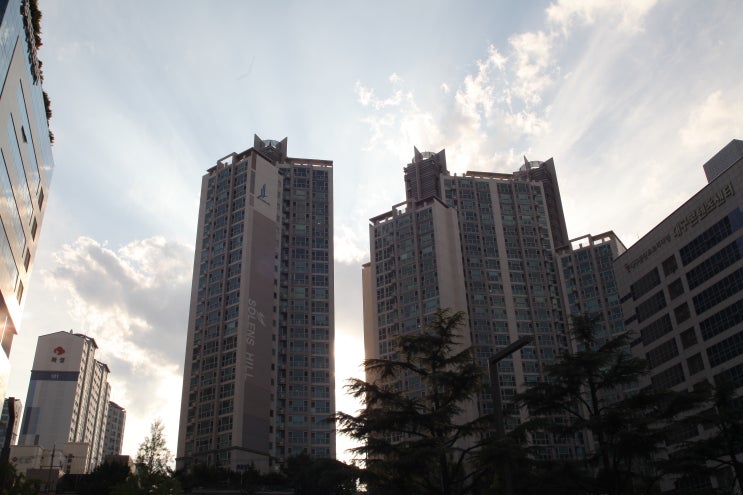  뒤바뀐 일상이 된 금요일 일상