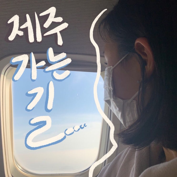  ️ 20년 2월 제주도 서부 여행 1일차