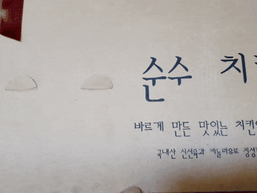  다정동 치킨 순수치킨 세종다정점 고마치킨,순수치킨 반반으로~