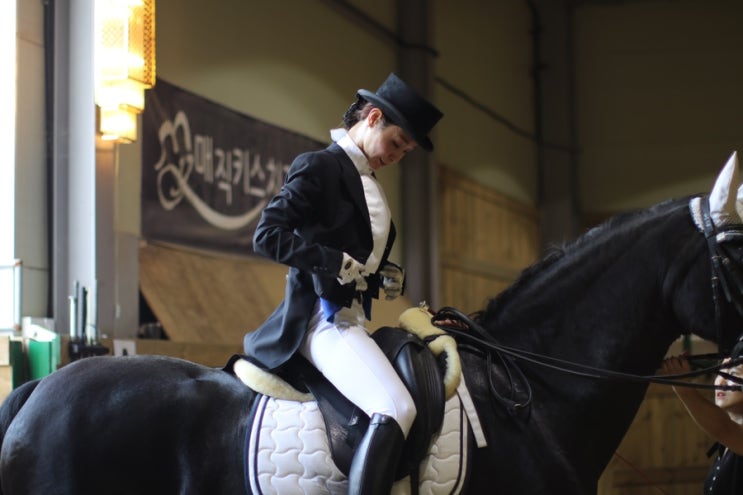  승마 마장마술 대회복 & 연미복 Best dressage competition show jacket & shadbelly