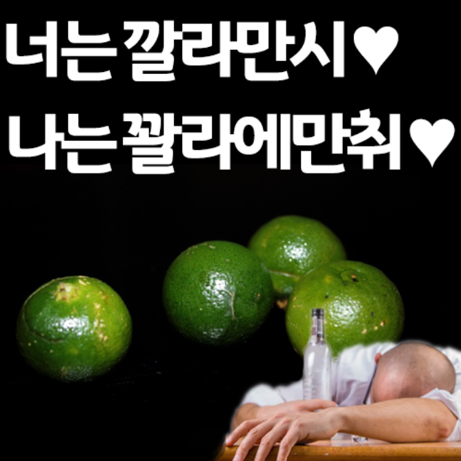  오란씨 깔라만시 드시고 꽐라 함 되어보실?