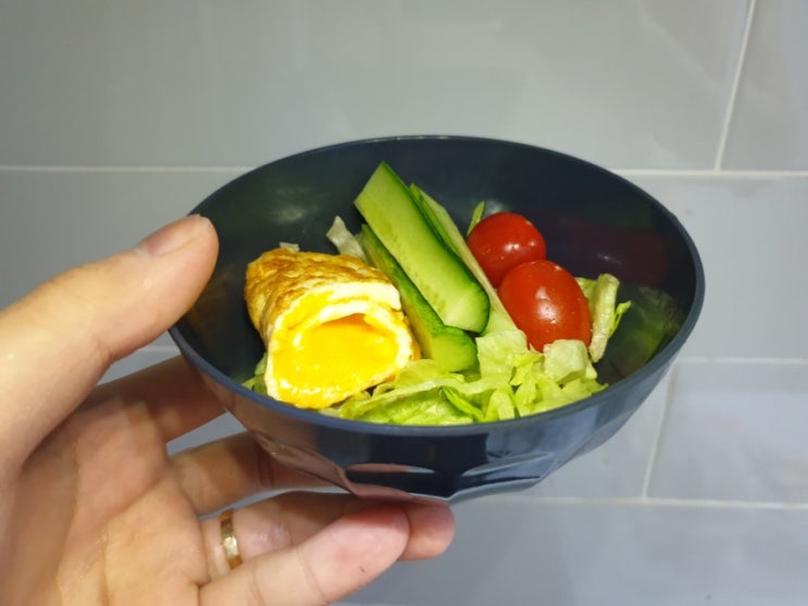  키토 저탄고지 lchf 27일차