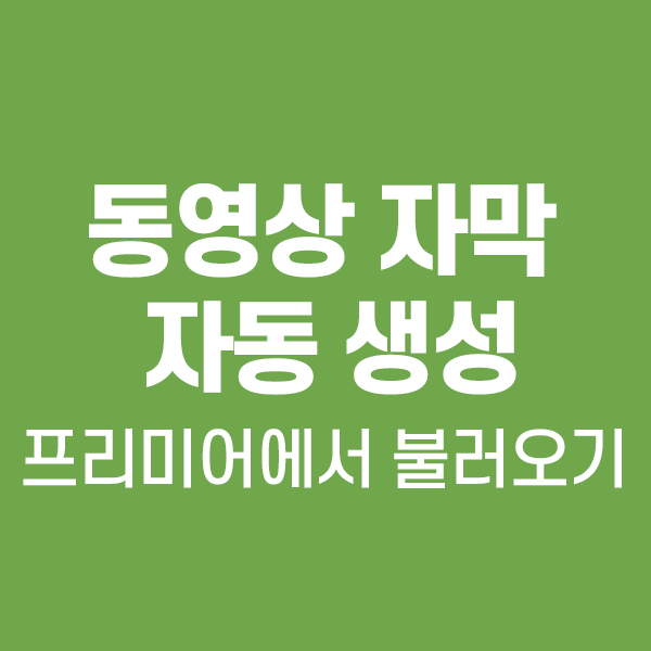 동영상 자동 자막 vrew.프리미어