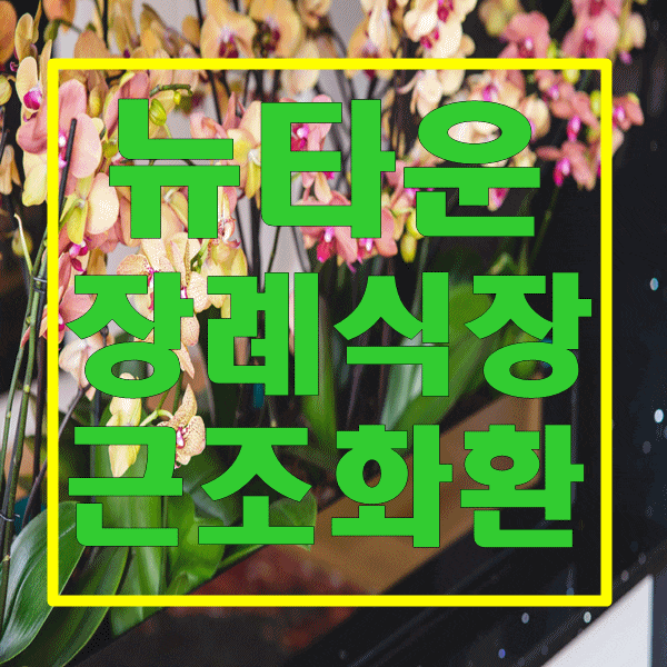  뉴타운장례식장 위로의 마음을 담아 전달해드립니다