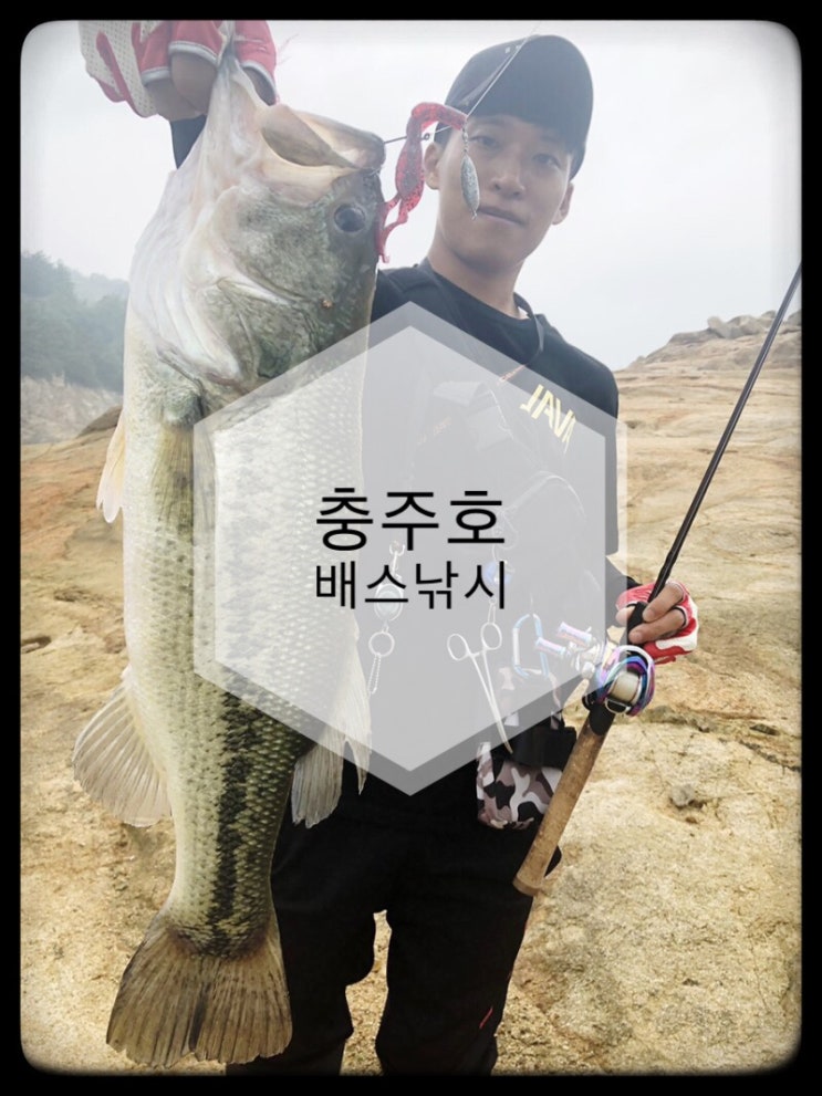  [충북]잡으면 런커!한방의 충주호!