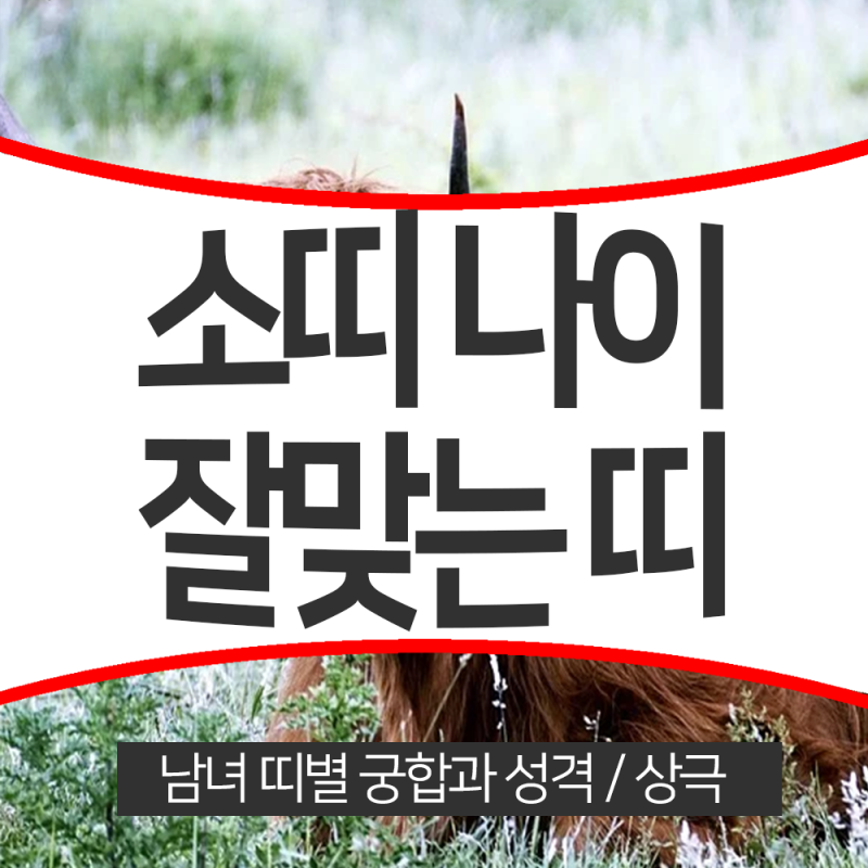 소띠 나이 소띠와 잘맞는띠 상극 남자 여자 85년 73년 61년 성격 궁합 알아보기. : 네이버 블로그