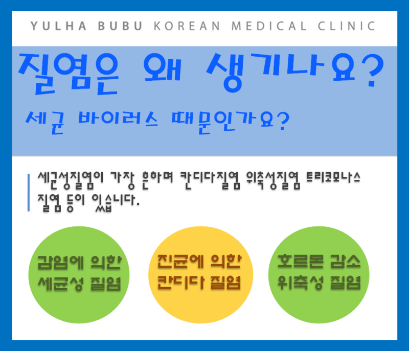 질염 : 질염냉, 칸디다질염, 트리코모나스질염, 세균성질염(가드넬라), 질염약, 카네스텐, 후라시닐정, 6