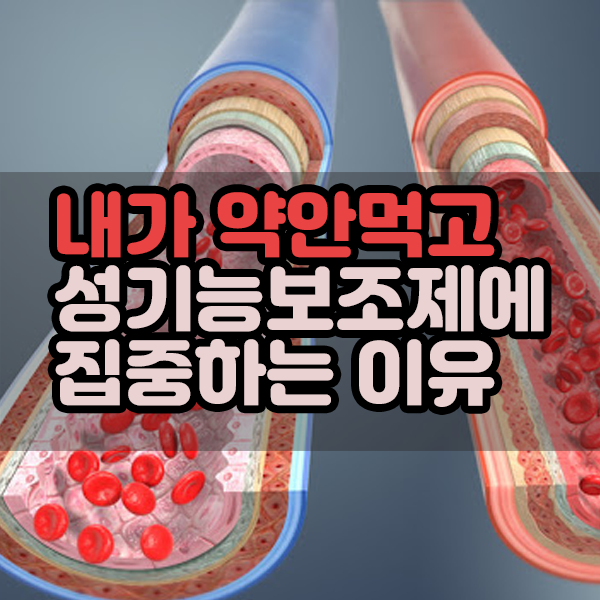  내가 약 안먹고 성기능보조제에 집중하는 이유