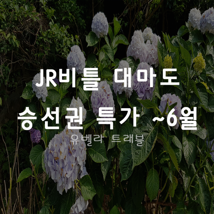 [부산출발] 대마도 왕복 승선권 JR비틀호 2020년 ~6월 승선권 특가