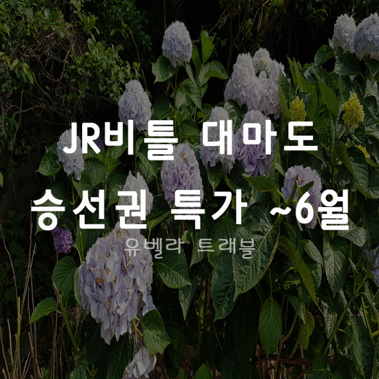  [부산출발] 대마도 왕복 승선권 JR비틀호 2020년 ~6월 승선권 특가