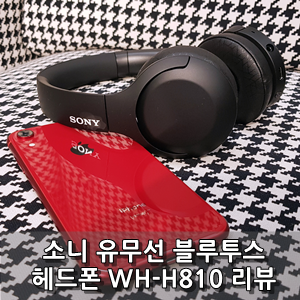 [리뷰] 소니 WH-H810 h.ear on3 블루투스유무선헤드폰