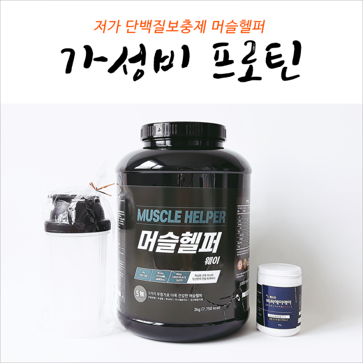  저가 단백질 보충제 머슬헬퍼 가성비템