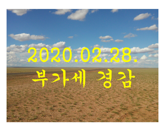  [세무이슈] 부가세 경감 소식
