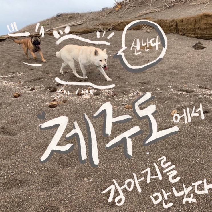  ️ 20년 2월 제주도 서부 여행 2일차