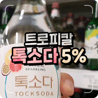  트로피칼 톡소다 맛있는 술 추천
