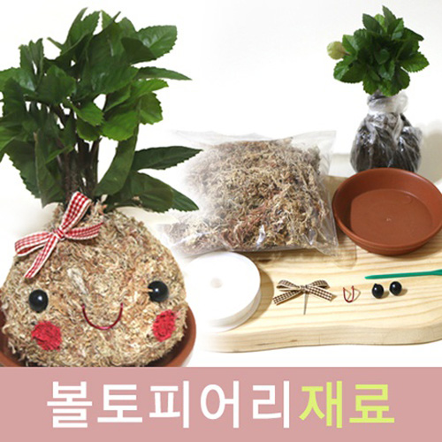  쿠팡 검색하면 바로 나오는 토피어리재료 - 10가지: 식물키우기 동그리 토피어리재료, 단품 