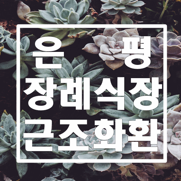  은평장례식장으로 화환이 총알처럼 빠르게 배송됩니다.