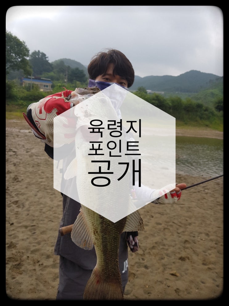  충북배스포인트-육령지,육령저수지(금석저수지)