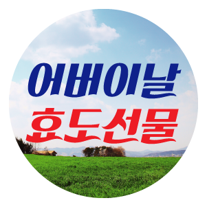  [어버이날 효도선물]부모님이 받고 싶은 선물 1위! -치매예방 및 노화방지(연구결과)에 탁월한 핫톡스테라피룸(가정용 개인용 1인용 찜질방/사우나)