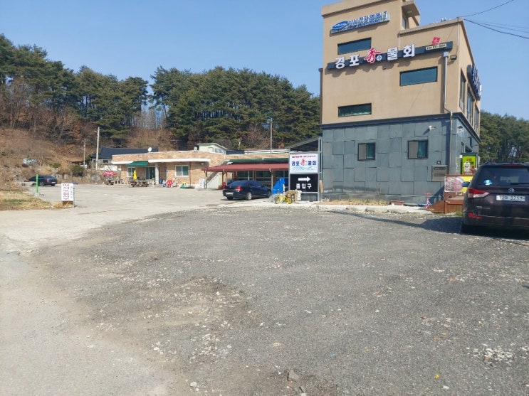  [게스트하우스/민]경포 근처에 위치한 물회 맛집!! "경포수물회" 알탕도 맛있어용