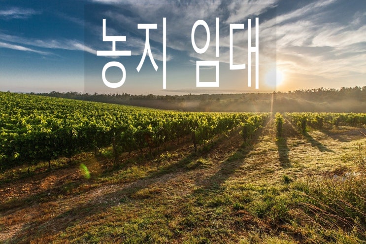  농지 임대차 또는 사용대차 계약 하는법