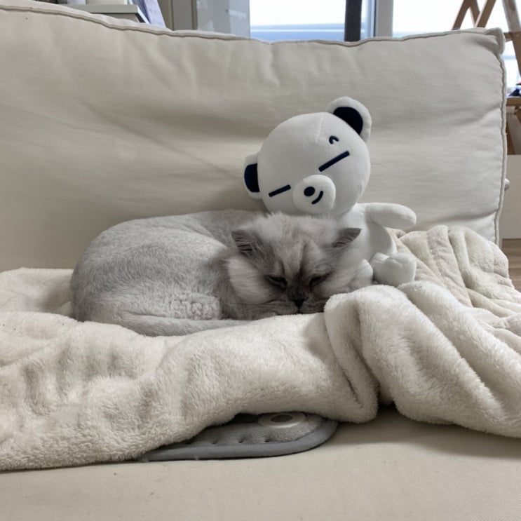  레이의 베프
