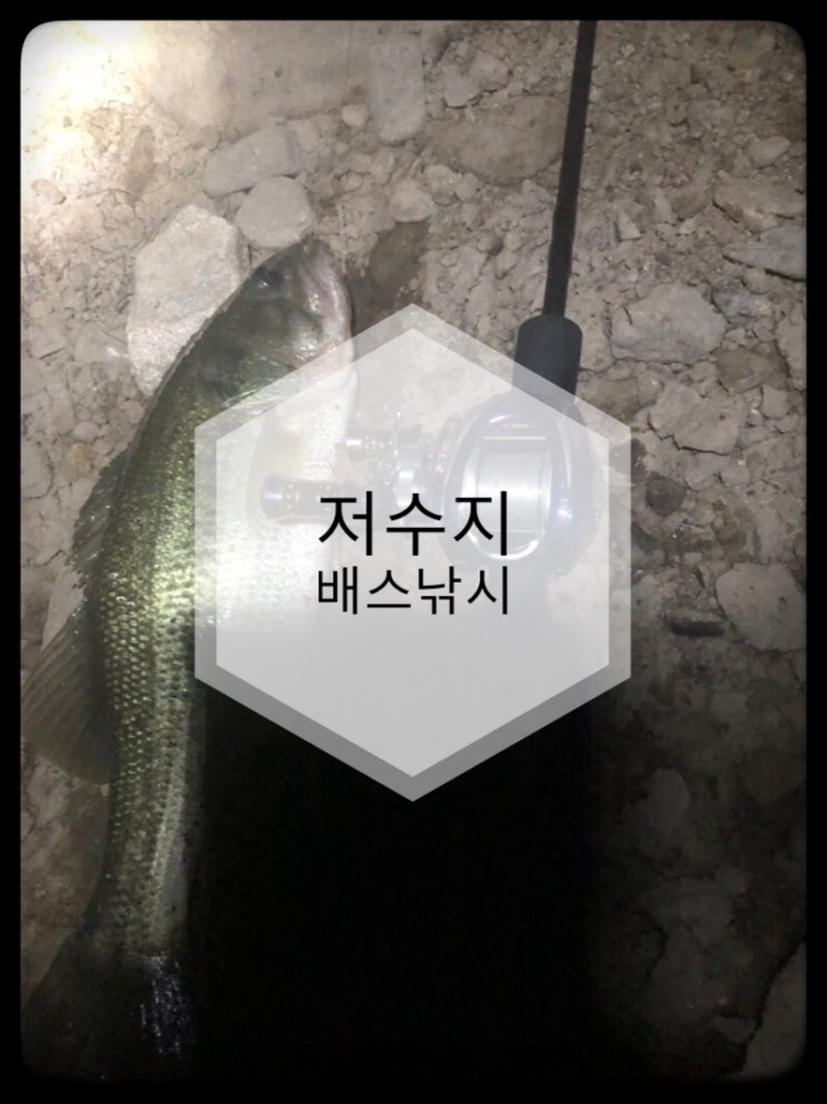  [충북]저수지 배스낚시!!짬야습!