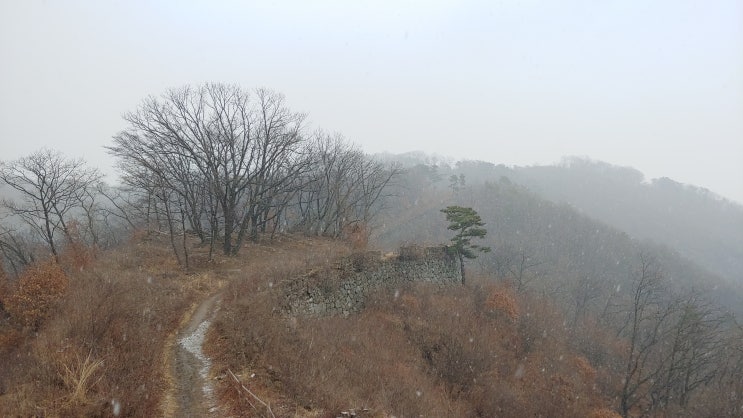 봄 초입 남한산성 눈꽃 눈 산행, 청노루귀 복수초 아직 야생화는 없었다.