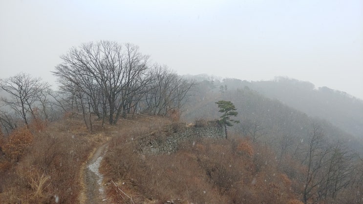 봄 초입 남한산성 눈꽃 눈 산행, 청노루귀 복수초 아직 야생화는 없었다. 봄 초입 남한산성 눈꽃 눈 산행, 청노루귀 복수초 아직 야생화는 없었다.