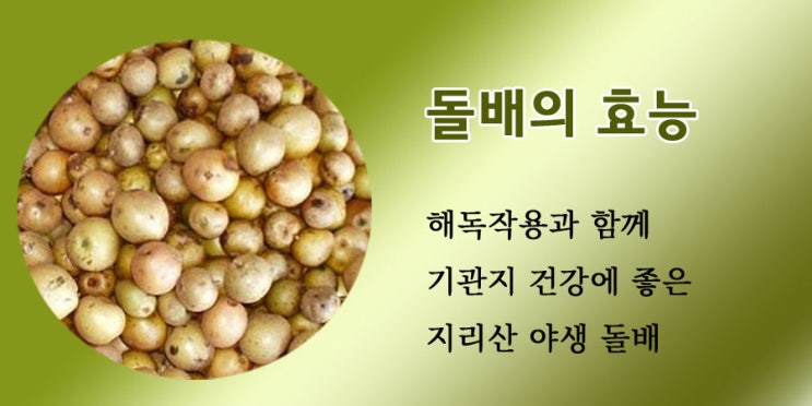  돌배의 효능(지리산 산돌배)