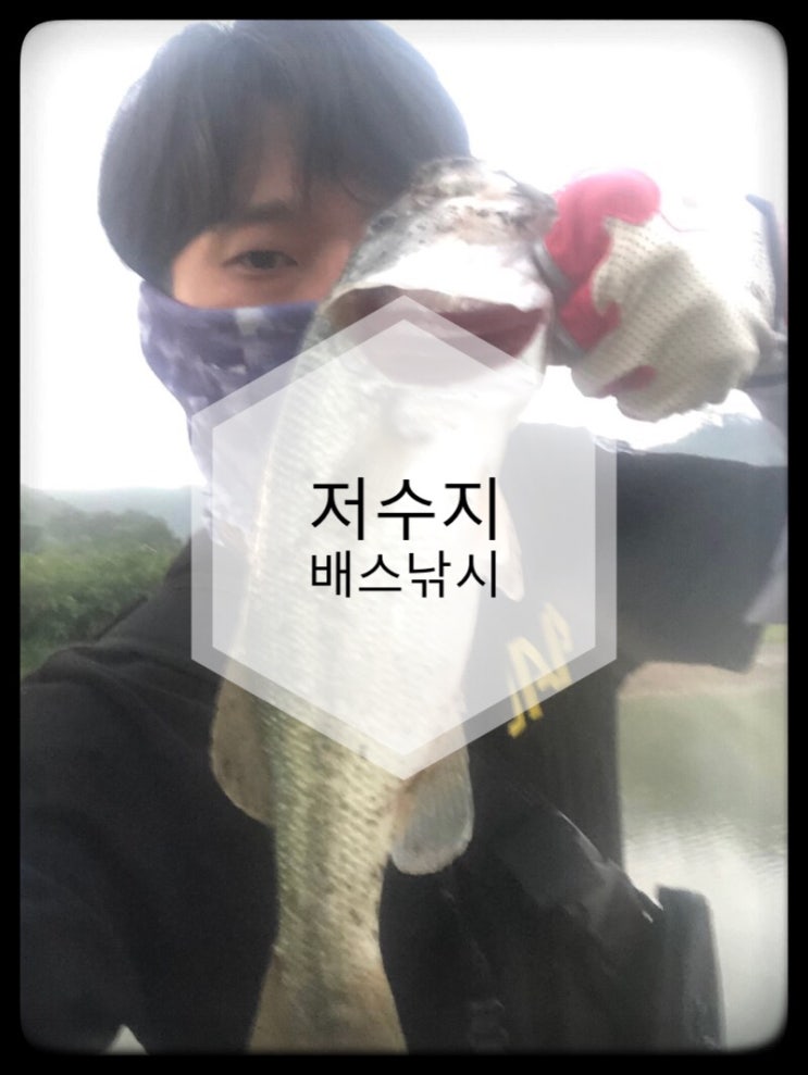  [충북]저수지 배스낚시~~~!!오늘도 탑워터?!!!!!??