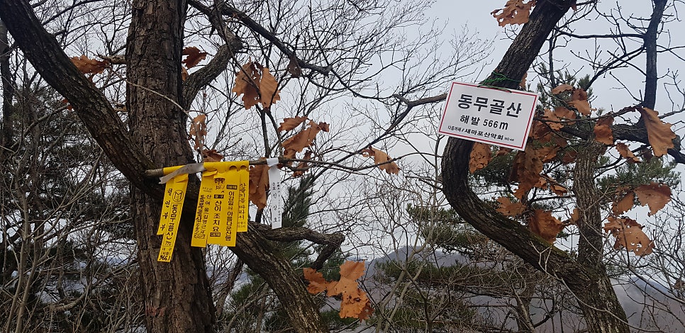동무골산 사진 6