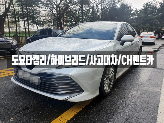  세종시 교통사고 보험수리 사고 대차 렌터카 이용법