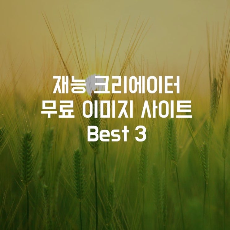  블로그 글쓰기 꿀팁! 멋진 이쁜 무료 사진 이미지 사이트(픽사베이/언스플래쉬/펙셀스 활용)