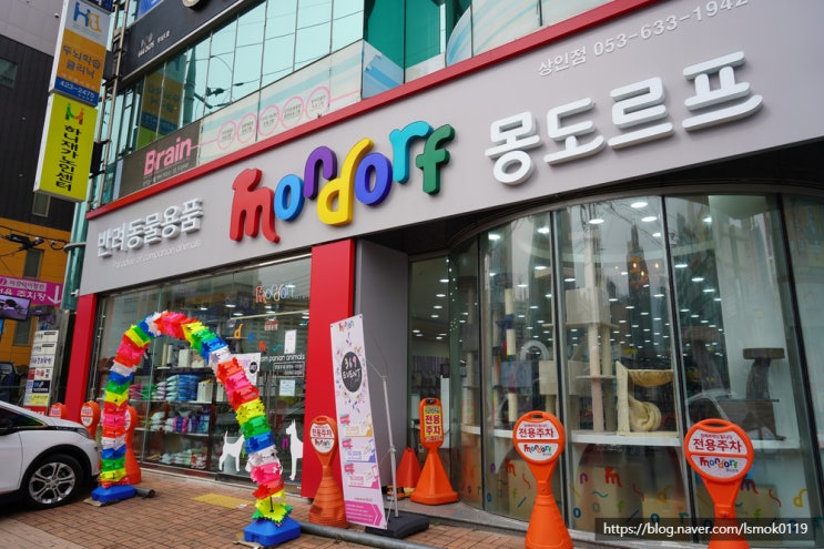  대구고양이용품 몽도르프 상인점에서 반려묘 용품 싹쓸이