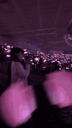  블랙핑크 월드투어 결과