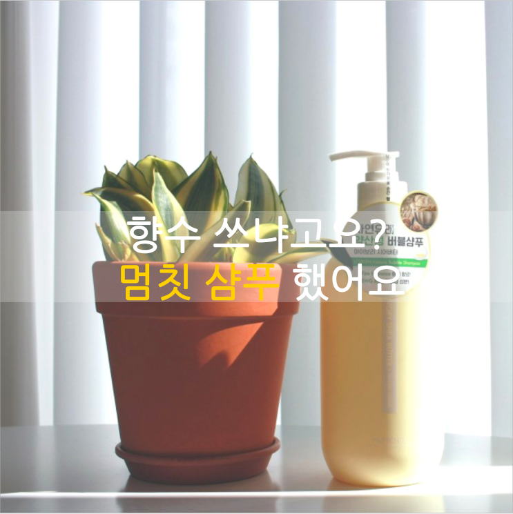  멈칫 샴푸 쓰는데 어떤 향수 냐고 묻네요