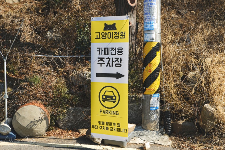  강서구 야외 고양이카페 : 고양이정원 (입장료, 이용시간, 영업시간, 주차)