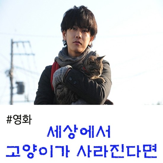  세상에서 고양이가 사라진다면 결말 및 줄거리, 묵직한 영화!