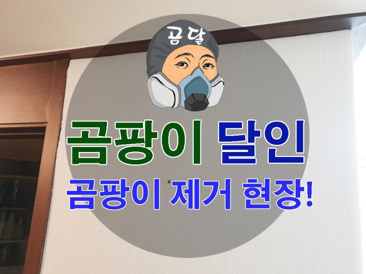  집곰팡이제거 한 방에 끝내기!