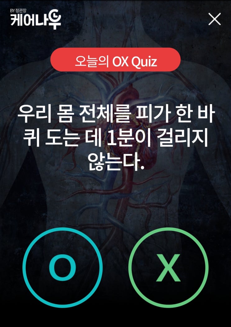  피가 우리 몸 전체를 한 바퀴 도는 데 걸리는 시간