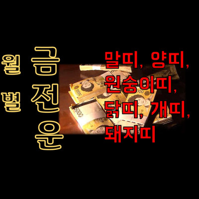  말띠, 양띠, 원숭이띠, 닭띠, 개띠, 돼지띠 월별금전운  분당용한점집 화선궁